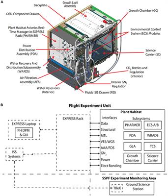 Hardware Validation of the Advanced Plant Habitat on ISS: Canopy Photosynthesis in Reduced Gravity